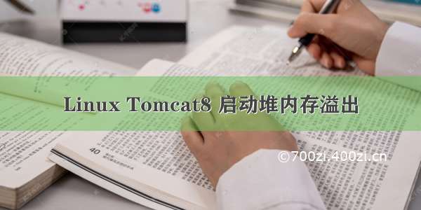 Linux Tomcat8 启动堆内存溢出