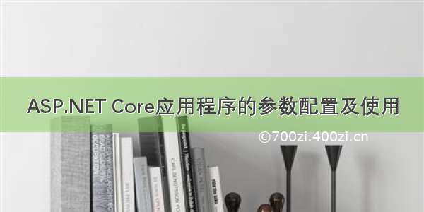 ASP.NET Core应用程序的参数配置及使用