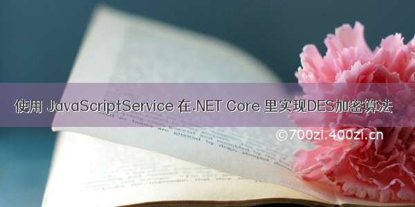 使用 JavaScriptService 在.NET Core 里实现DES加密算法