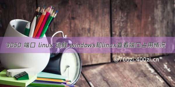 9050 端口 linux 进程 windows和linux查看端口占用情况