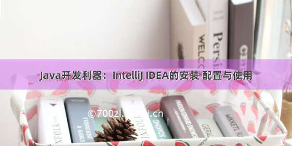 Java开发利器：IntelliJ IDEA的安装 配置与使用