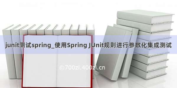 junit测试spring_使用Spring JUnit规则进行参数化集成测试