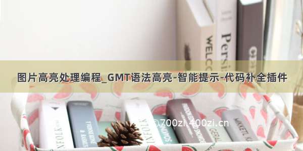 图片高亮处理编程_GMT语法高亮-智能提示-代码补全插件