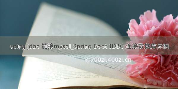 sping jdbc 链接mysql_Spring Boot JDBC 连接数据库示例