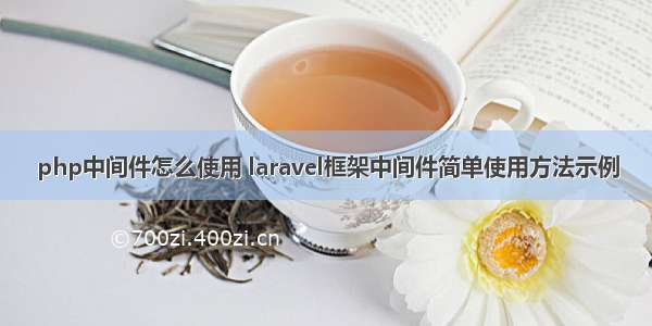 php中间件怎么使用 laravel框架中间件简单使用方法示例