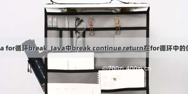 java for循环break_Java中break continue return在for循环中的使用