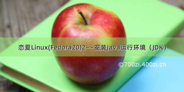 恋爱Linux(Fedora20)2——安装Java运行环境（JDK）