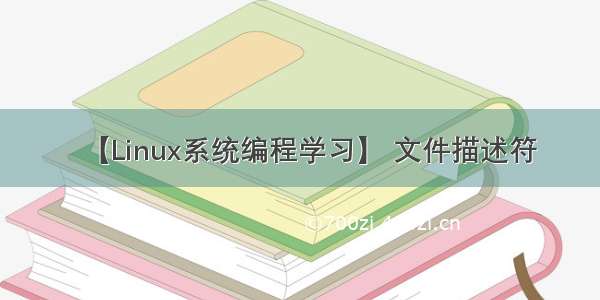 【Linux系统编程学习】 文件描述符