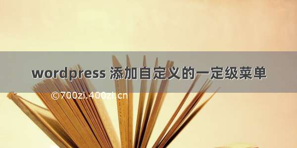 wordpress 添加自定义的一定级菜单