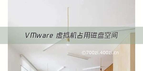 VMware 虚拟机占用磁盘空间