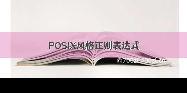 POSIX风格正则表达式