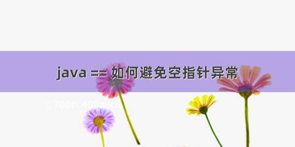 java == 如何避免空指针异常