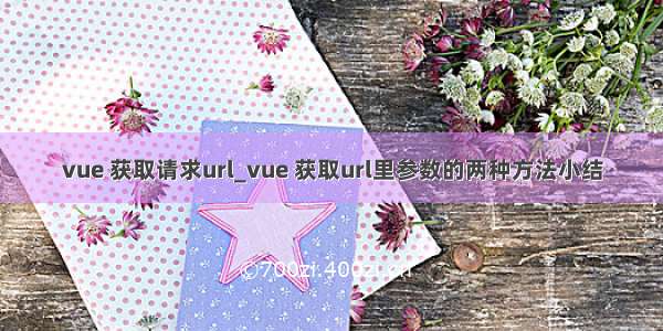 vue 获取请求url_vue 获取url里参数的两种方法小结