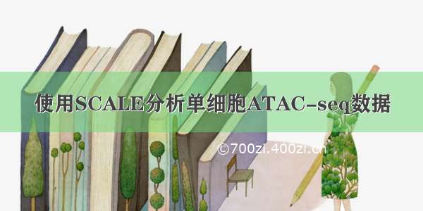 使用SCALE分析单细胞ATAC-seq数据