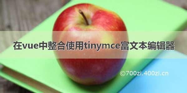 在vue中整合使用tinymce富文本编辑器