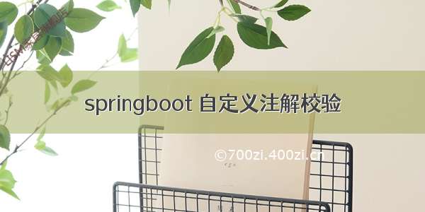 springboot 自定义注解校验