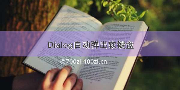 Dialog自动弹出软键盘