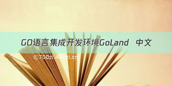 GO语言集成开发环境GoLand  中文