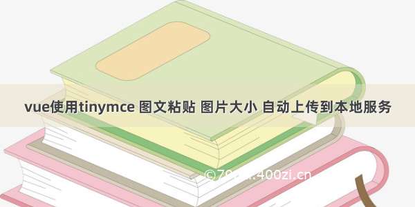 vue使用tinymce 图文粘贴 图片大小 自动上传到本地服务