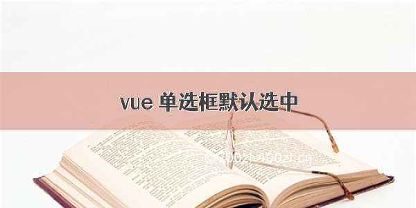 vue 单选框默认选中