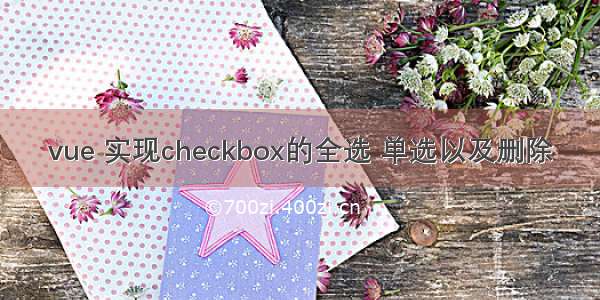 vue 实现checkbox的全选 单选以及删除