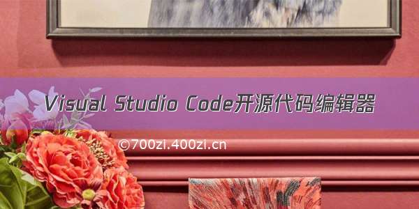 Visual Studio Code开源代码编辑器