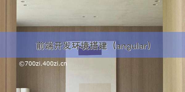 前端开发环境搭建（angular）