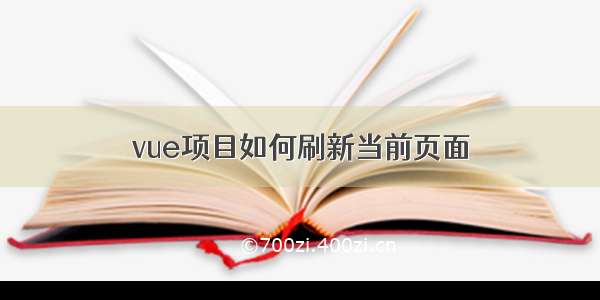 vue项目如何刷新当前页面