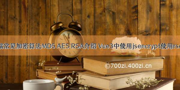 【JS】前端常见加密算法MD5 AES RSA介绍 Vue3中使用jsencrypt使用rsa加密示例