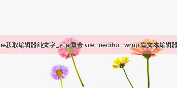 vue获取编辑器纯文字_vue 整合 vue-ueditor-wrap 富文本编辑器