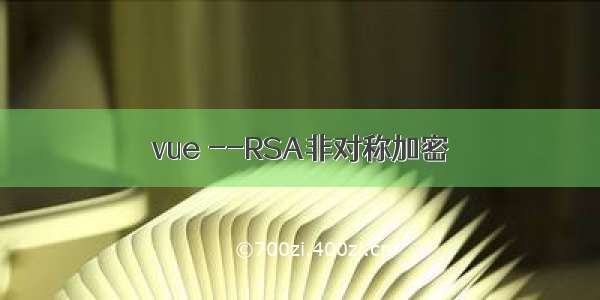 vue --RSA非对称加密