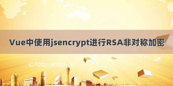 Vue中使用jsencrypt进行RSA非对称加密