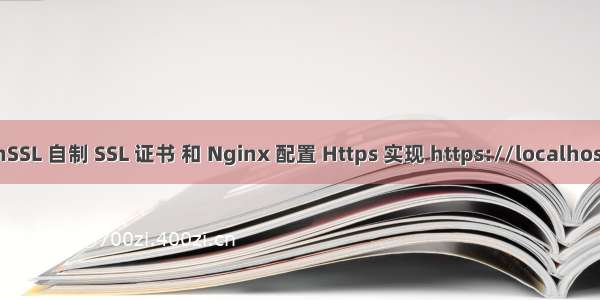 使用 OpenSSL 自制 SSL 证书 和 Nginx 配置 Https 实现 https://localhost 访问 API