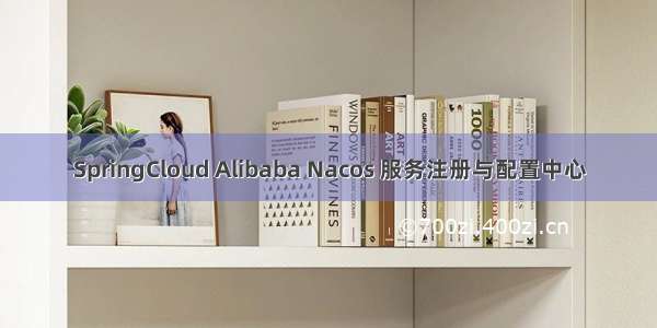 SpringCloud Alibaba Nacos 服务注册与配置中心