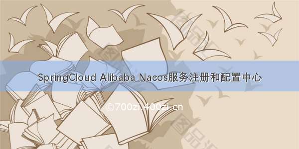 SpringCloud Alibaba Nacos服务注册和配置中心