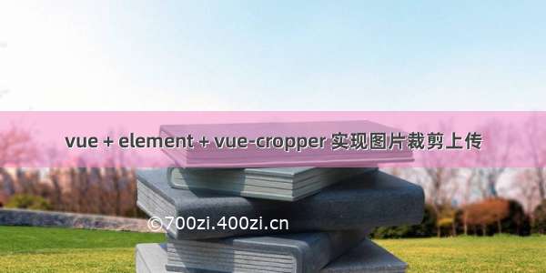 vue + element + vue-cropper 实现图片裁剪上传