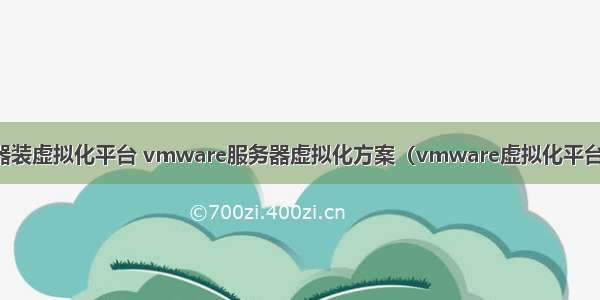 服务器装虚拟化平台 vmware服务器虚拟化方案（vmware虚拟化平台部署）