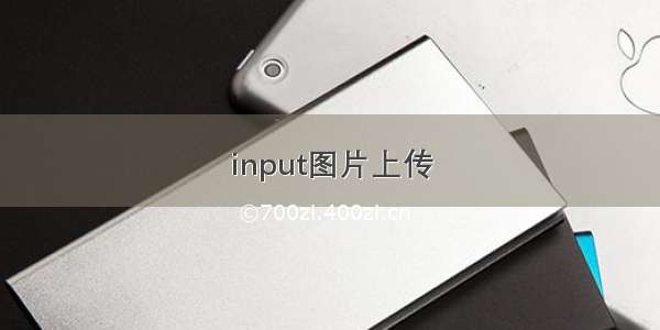 input图片上传