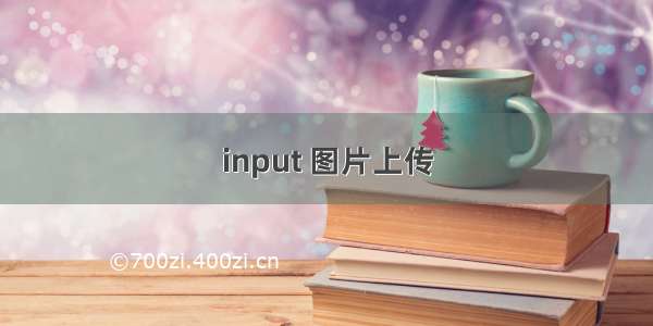 input 图片上传