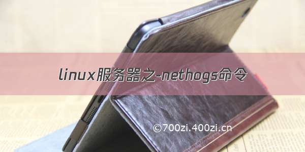 linux服务器之-nethogs命令