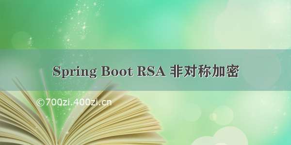 Spring Boot RSA 非对称加密