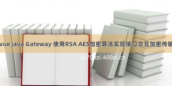 vue java Gateway 使用RSA AES加密算法实现接口交互加密传输