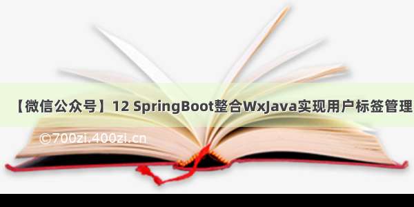 【微信公众号】12 SpringBoot整合WxJava实现用户标签管理