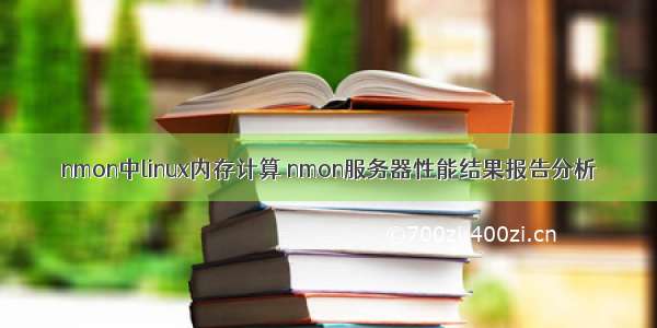 nmon中linux内存计算 nmon服务器性能结果报告分析