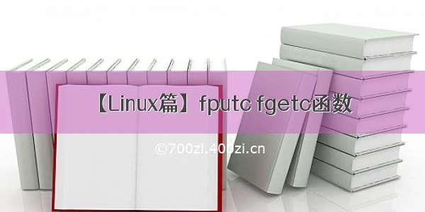 【Linux篇】fputc fgetc函数