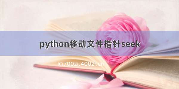 python移动文件指针seek