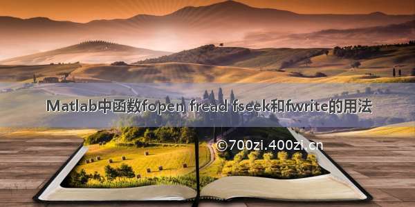 Matlab中函数fopen fread fseek和fwrite的用法