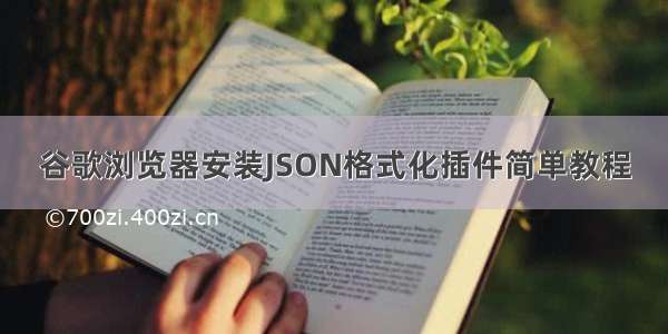 谷歌浏览器安装JSON格式化插件简单教程