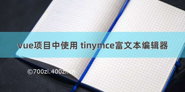 vue项目中使用 tinymce富文本编辑器