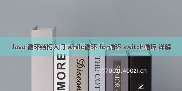 Java 循环结构入门 while循环 for循环 switch循环 详解